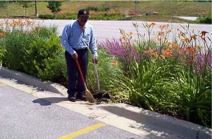 volume (WQv) using soils and vegetation in shallow basins or landscaped areas to remove pollutants from stormwater runoff.