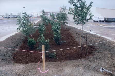 There are numerous design applications, both on- and off-line, for bioretention areas.