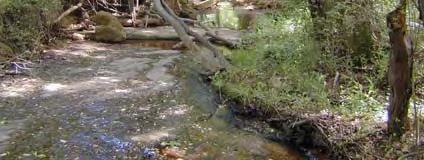 The difficulties in floodplain & stormwater mangement Creeks