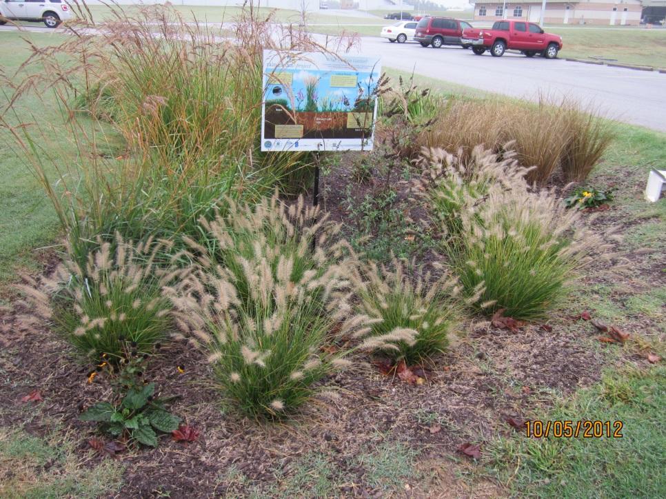 Rain Gardens/Bioretention Provide on-site treatment by filtering out pollutants Mitigate increased runoff Can be