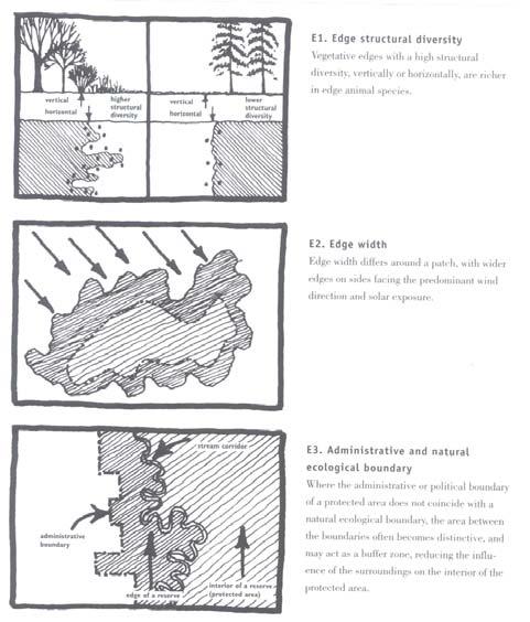 Boundaries and Edges Three mechanisms produce vegetation boundaries in landscape. A patchy physical environment (e.g., mosaic of soil or landforms ) Natural disturbance (e.g., wild fire ) Human activities (e.