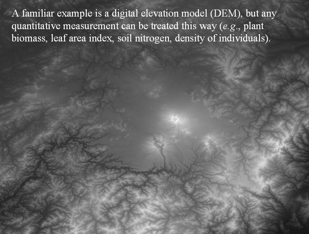 A familiar example is a digital elevation model (DEM), but any quantitative measurement can be treated this way (e.g., plant biomass, leaf area index, soil nitrogen, density of individuals).