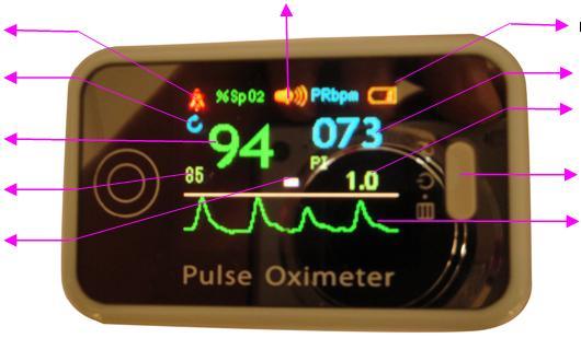 With alarm function With SpO 2 value and pulse rate value record function The record data can be uploaded to the computer It can be connected with oximeter probe 4.