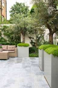 The water feature creates a strong focal point to the garden and importantly acts as