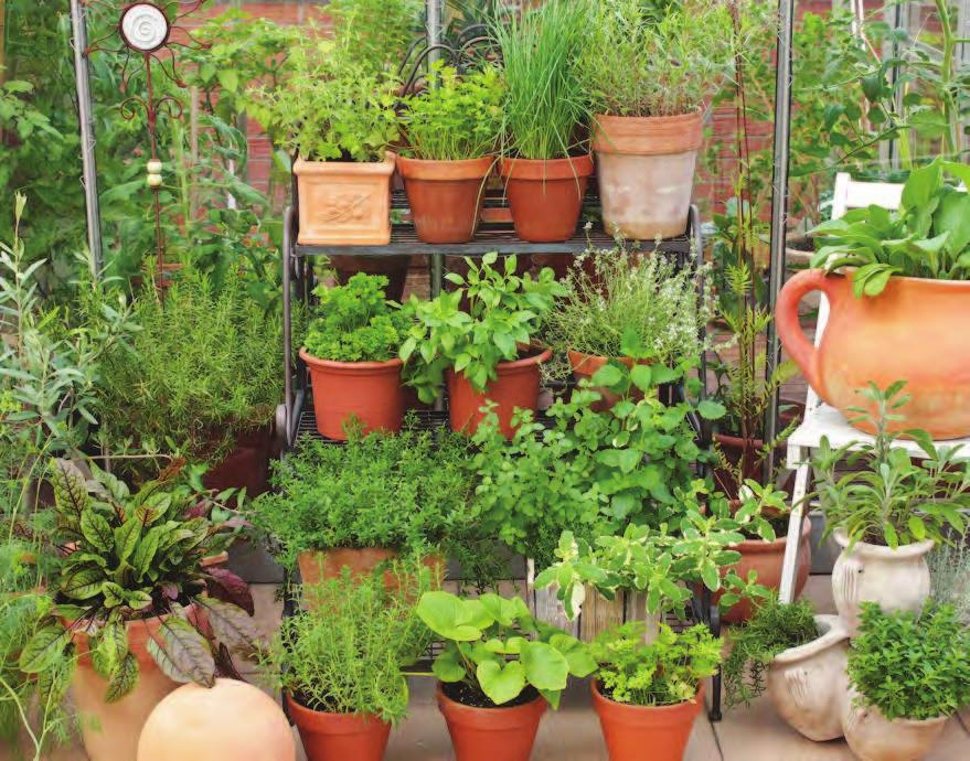 30 Use Resources Responsibly especially those made from recycled plastic, this includes plant pots. Food and drink containers, sacks and crates can all be used as Plastics You Can Plant In on p.
