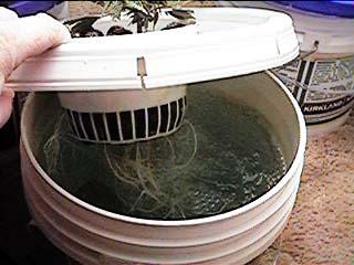 Basic Hydroponics System by 'Buds' Parts List: 1 bucket with lid - 3 Gallon or larger 1 aquarium air pump - Elite 802 2 feet airline 1 air stone (4" or smaller) 1 3" or 4" plant pot 2 cups gro rock