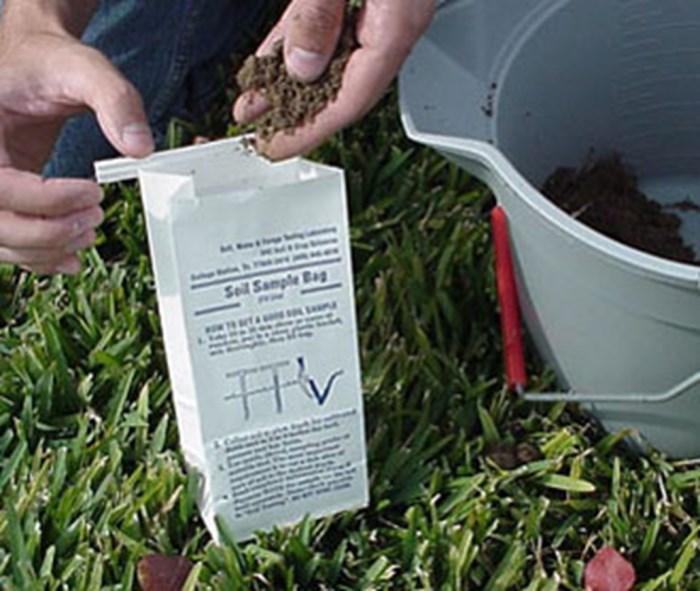 Especially if your plants didn t perform as well as you expected in the previous months, a soil test is a very simple thing to do and can be really helpful.