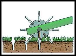 North Carolina Cooperative Extension Page 4 Aerating the Lawn Our clay-based soils often become compacted over time from heavy rains and traffic by animals, people and mowers, making it difficult for