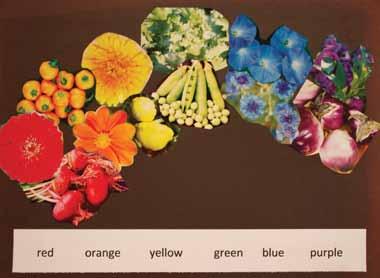 Rainbow Garden Match colors to fruit, vegetables, and flowers.