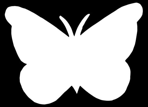 Have students observe the photos provided or search for butterfly photos on the Internet. Ask them to look at patterns and symmetry in the butterflies wings. 2.