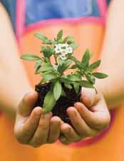 Jump Start Your School Garden is intended to help educators integrate the use of the garden - whether it is an outdoor garden or an indoor container garden - into their science and mathematics