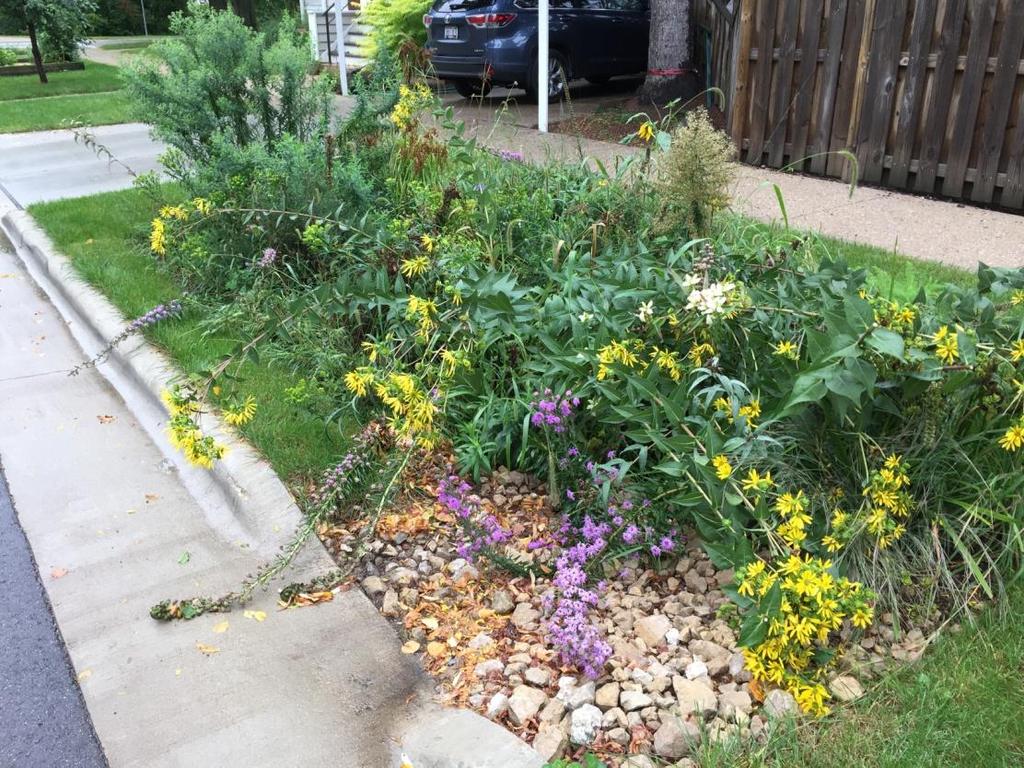 Side Street Rain Gardens Constructed as Bioretention 20 suitable locations Property owner