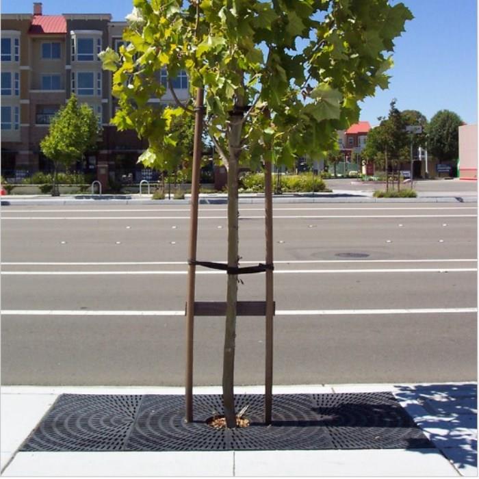 4 x 12 Tree Grates and Soil Improvements Reduce soil compaction More