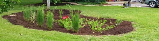 stewardship. A rain garden is a planted depression that is positioned to capture runoff from impervious surfaces (like rooftops or driveways) and designed to infiltrate it into the ground.