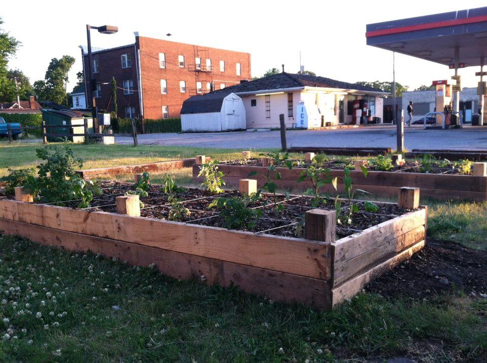 West Main Street A Garden is Born We planted food and flowers, we picked up garbage, and