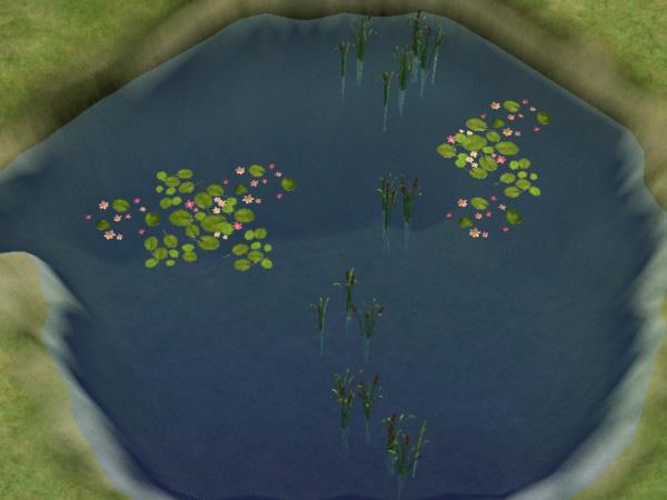 The picture below shows what the lilies are capable of.
