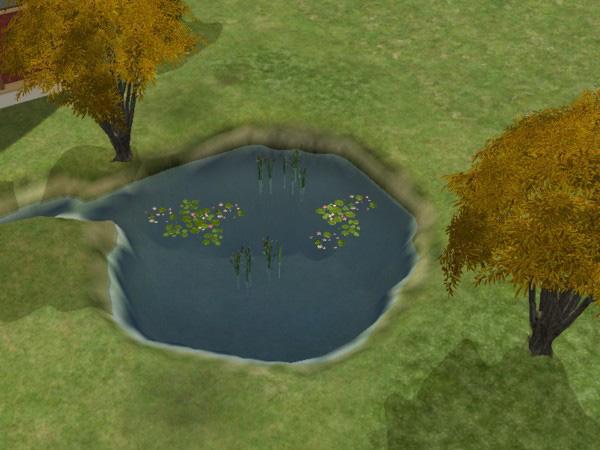 You don t want plants to overload your pond. You ll need some room for water in there.