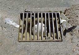 9. Catch Basins and Drain Pipes Catch basins are storm drains that capture and roughly filter stormwater through a grate or curb inlet and capture sediment, debris and associated pollutants in a deep