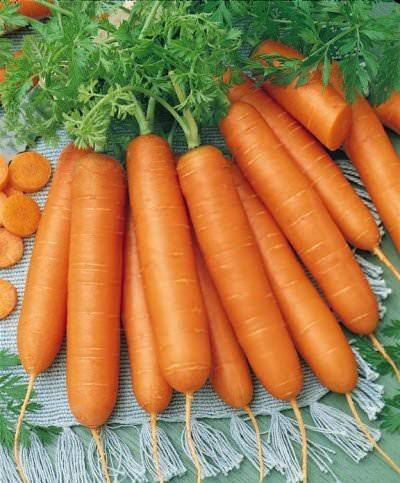 Carrots Sow seeds when soil temperature is above 60⁰ F For a continuous supply of carrots, put in 2-3 plantings spaced three weeks apart Till soil to soften