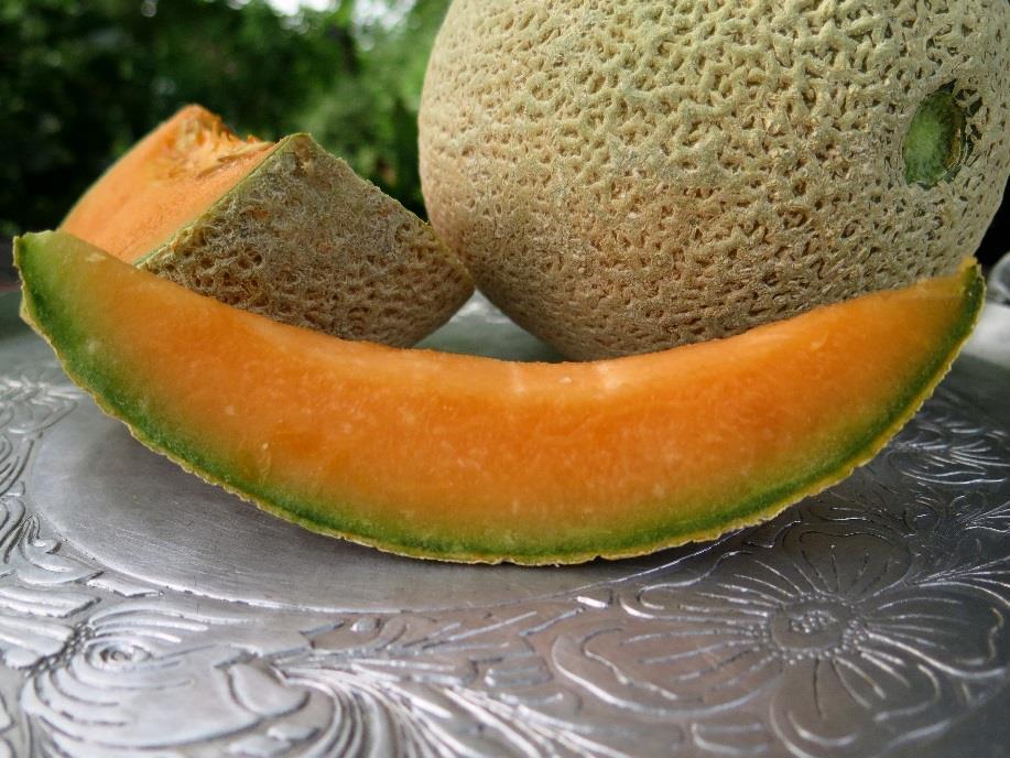 Cantaloupe/Muskmelon There is technically a difference, but often the names are used interchangeably Cantaloupe requires 35-45 days to mature from flowering, depending on the temperature