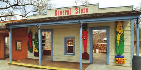 There are three to four steps up to enter at the back of the store and a level surface to enter the General Store around the front.