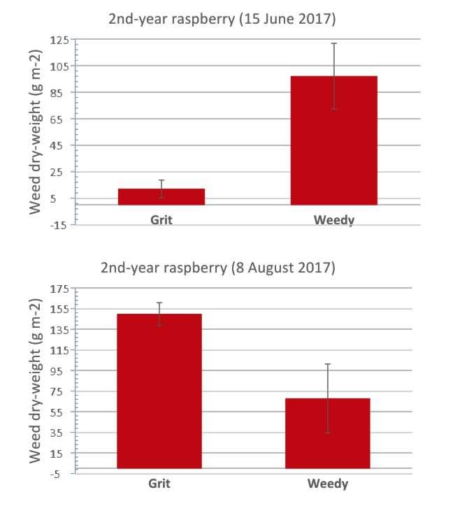 Figure 4. Average weed dry weight of weedy and grit-weeded treatments within the 2 nd year planting block at two sampling dates, 2017.