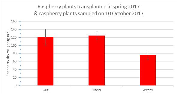 Figure 5. Average dry weight of raspberry plants in each treatment.