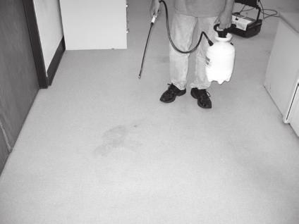 Encapsulation Cleaning System-Interim The Encapsulating Cleaning System is a low moisture system that encapsulates soil for easy removal and no residue left on the carpets.