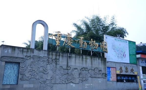 One Day Tour Route of Chongqing Metropolitan Area Leave the hotel at 8:00 am and take the air-conditioned bus (according to the number of participants) to Chongqing Zoo (about 1 hour by bus, visiting