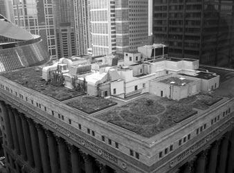 Technology Focus A New Technology Demonstration Publication DOE/EE-0298 Leading by example, saving energy and taxpayer dollars in federal facilities Green Roofs Green roofs can improve the energy