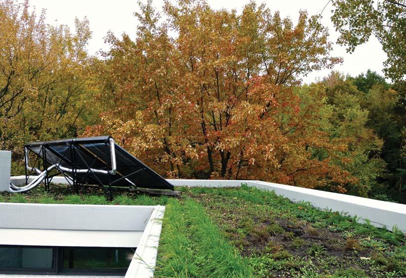In order to accommodate the flexing from the variable weight of the green roof, the architects left a gap that was filled in with a slip joint to make sure that glass and any other building materials