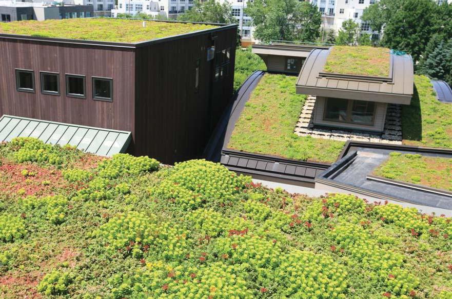 approximately three million sq.ft. of green roofs in the U.S. and Canada.