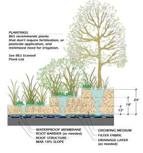 . Stormwater runoff is captured and temporarily stored in the engineered growing media, where it is subjected to the hydrologic processes of evaporation and transpiration, before beingwith any excess