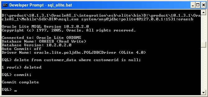 Prepare Customer Data from Olite DB Must delete records where customerid is null - Run