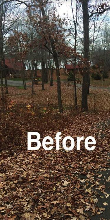 Spring & Fall Clean-ups If your home or business gets pelted with pesky leaves, Precision