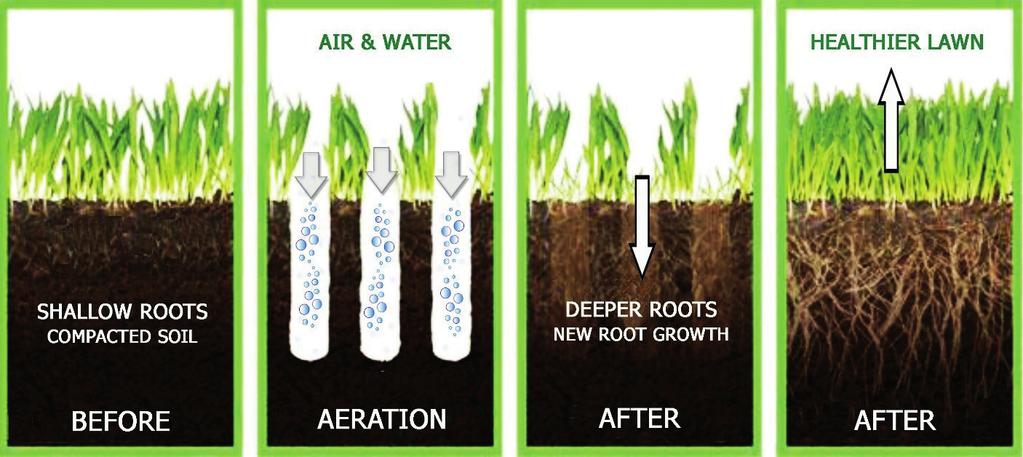 Core aeration is intended to assist the process of air exchange between the soil and atmosphere to help roots grow