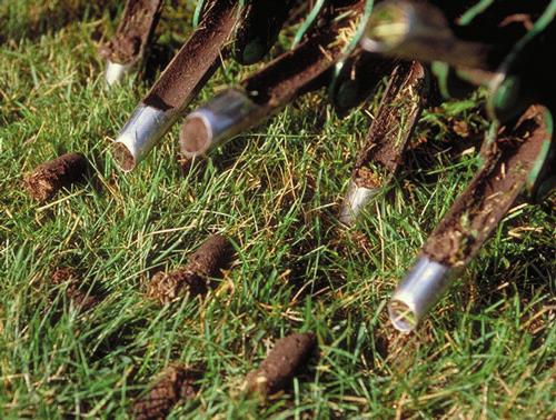 The Precision process of aeration includes removing small plugs of thatch and soil from the lawn to improve the natural