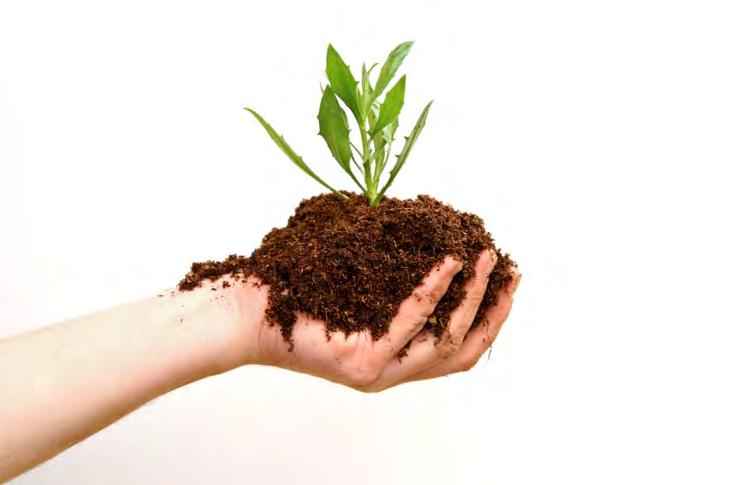III. Abundant life can be found in soil. A. Forms of life in soil include: 1.