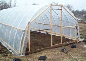 Greenhouse Construction: Putting on the Cover 1. Minimum thickness 6 mil (1 mil = 1/1000 inch) 2. UV treated 3. Do on a calm day 4. Leave 60 cm excess on all edges 5.
