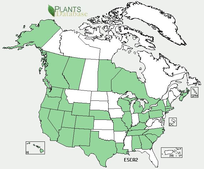Map of North America Distrubution Source: USDA Plants Database