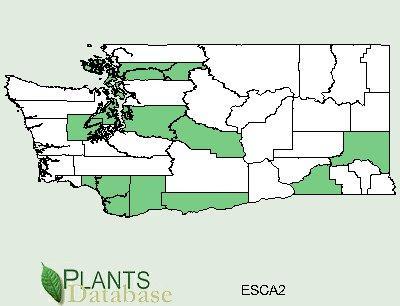 Washington Distribution Source: USDA Plants Database TAXONOMY