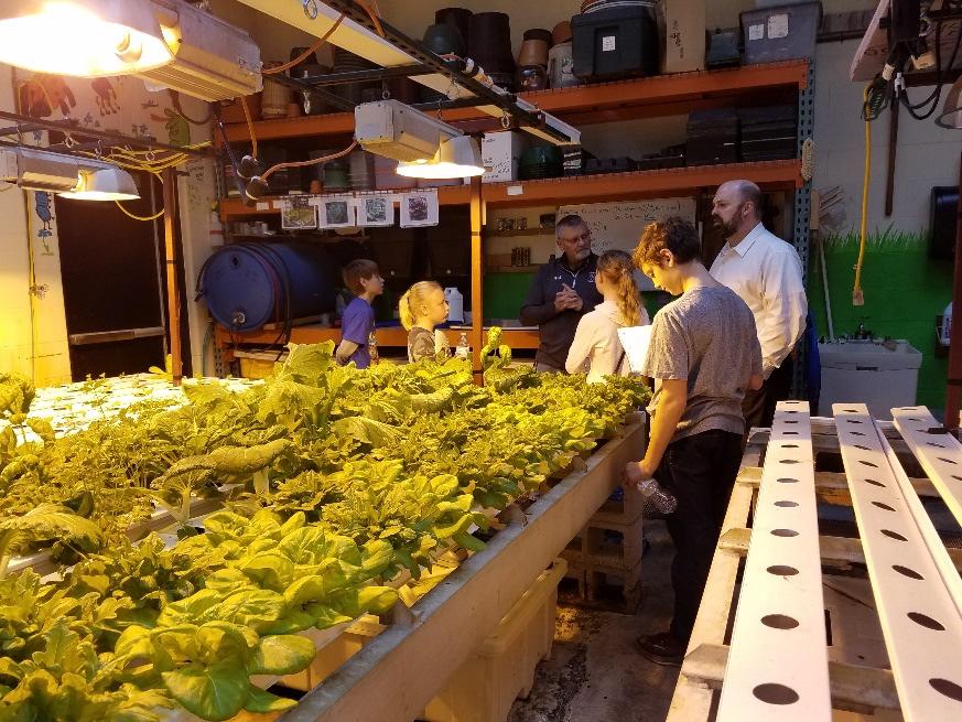 The food tastes better grown in hydroponics. LED lights placed close to plants can mimic sunlight, which helps the plants to grown.