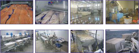 Product Line Box Fillers Box Washing Machines Brine Mixing System Capelin Roe Extraction Plants Caviar Plants Cleaning Brushes System Conveyors, Belts & Modulars Dried Fish Head Packing Easy Channel