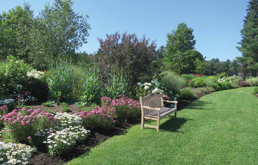 PREVIOUS STUDIES In 1998, Mass Hort adopted a Master Plan for the creation of a Horticulture Center at Elm Bank. It was prepared by the internationally recognized Dutch firm, Eurolandscape.