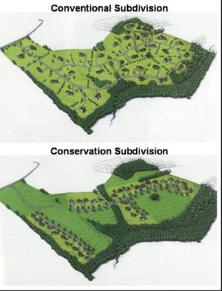 Protecting Existing Green Infrastructure Protecting existing green infrastructure Forests, wetlands, floodplains, buffers Creating green infrastructure instead of grey Bioswales, rain gardens, tree