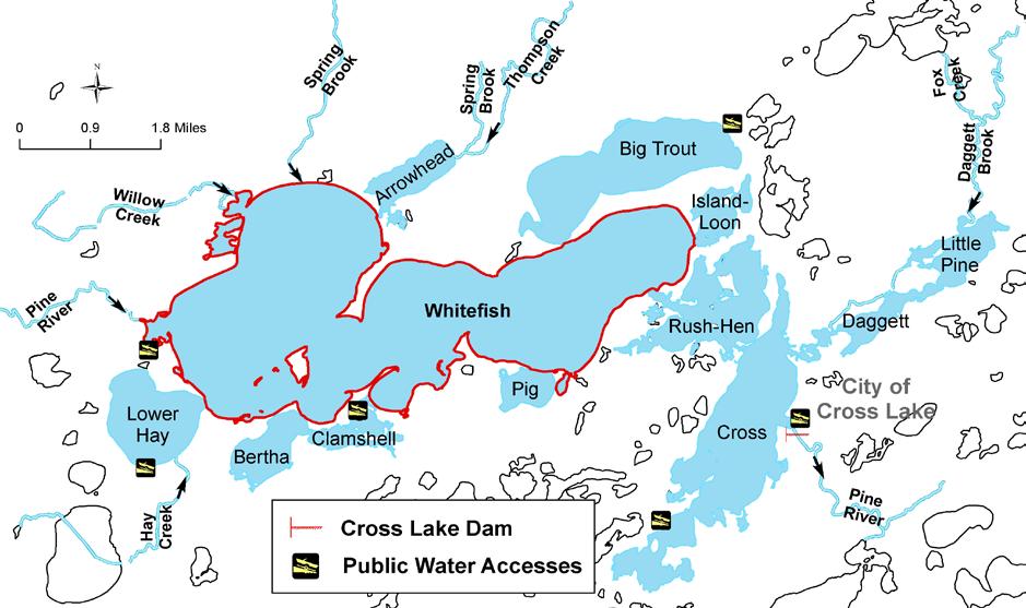 Introduction Whitefish Lake is located in the forested, lake-rich region of north central Minnesota (Figure 1). It is one of 13 waterbodies in the 14,000 acre Whitefish Chain of Lakes 1.