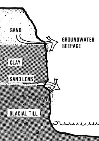 Layers of clay (or hardpan) in a bluff are very dense and form barriers to water that would otherwise seep downward through the soil (Fig. 2).