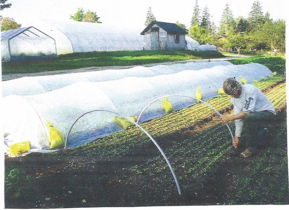 Eliot inserts each end of the conduit about ten inches into the soil on either side of the two beds, forming a hoop about 30 inches high at the midpoint.