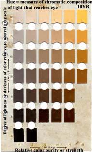 Soil Color Depicts OM brown or black, moisture moist is darker, and parent material eg, if Fe: salts