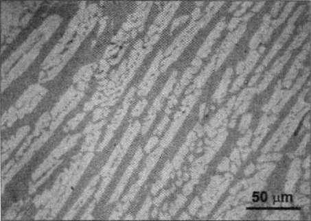 ItV 11 pav. Bandinio Nr. 2 mikrostruktūra. Fajalito kristalai (šviesiai pilki) stiklo fazėje (tamsiai pilka). Nuotrauka A. Selskienės.